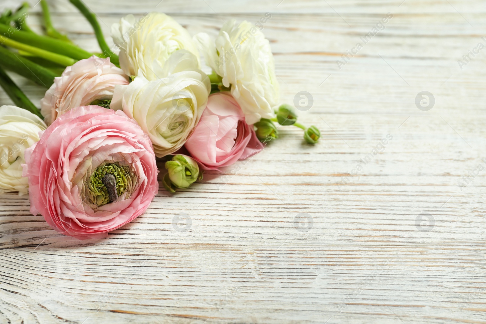 Photo of Beautiful ranunculus flowers on wooden background