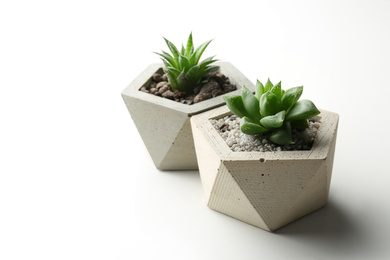 Photo of Succulent plants in concrete pots on white table, closeup
