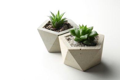 Succulent plants in concrete pots on white table, closeup