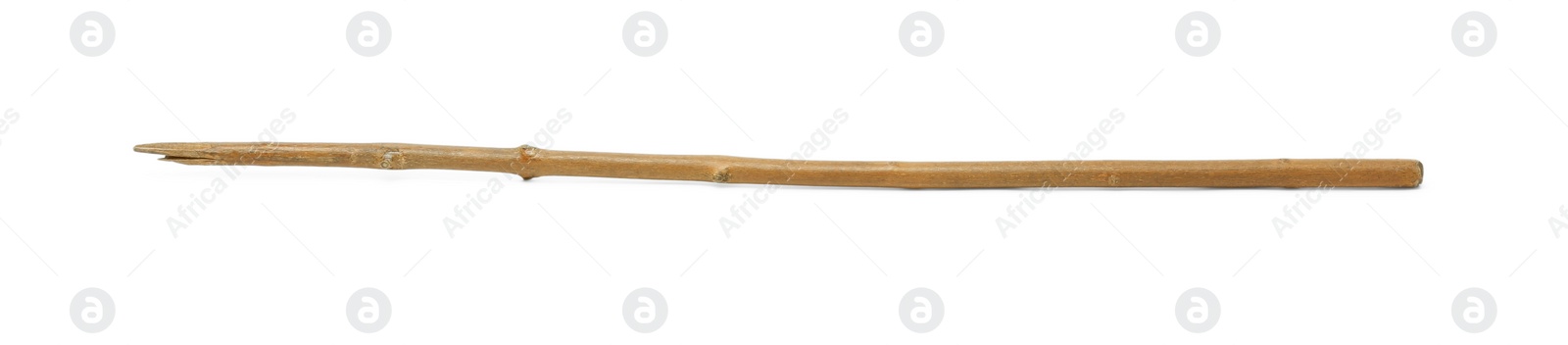 Photo of One old wooden stick isolated on white