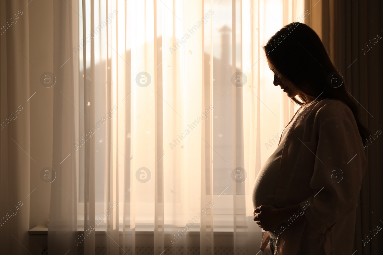 Photo of Young pregnant woman near window at home. Space for text