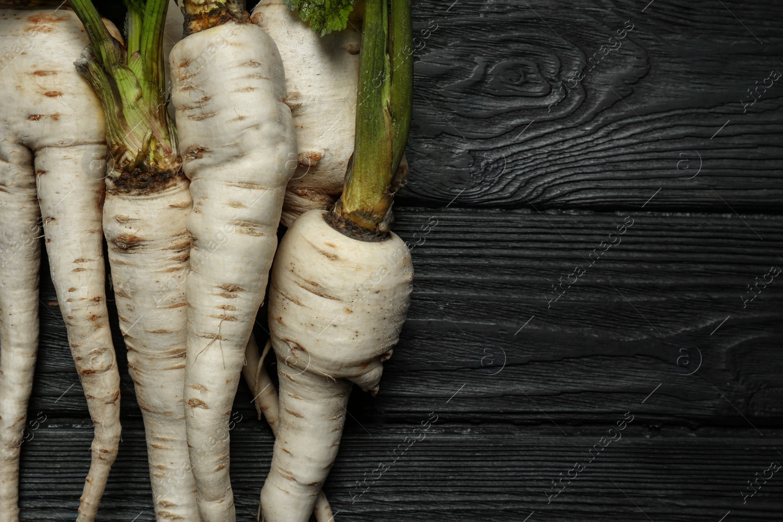 Photo of Tasty fresh ripe parsnips on black wooden table, flat lay. Space for text