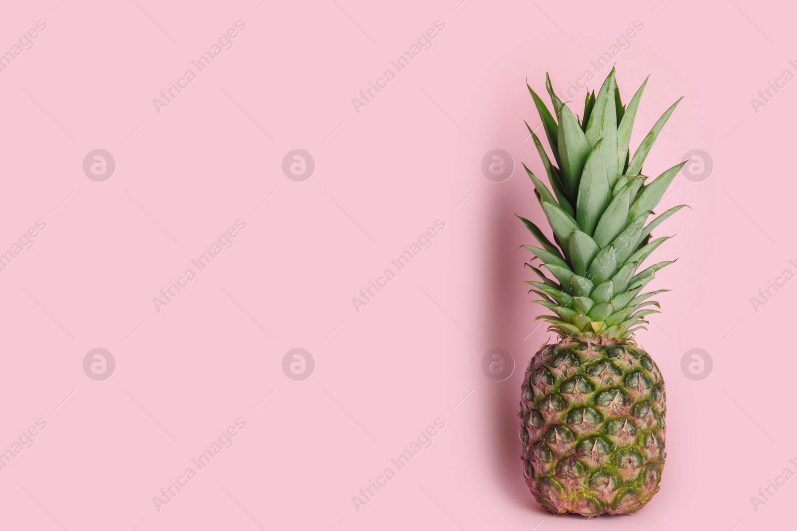 Photo of Ripe juicy pineapple on pink background. Space for text