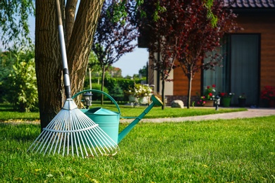 Photo of Rake and watering can near tree on green lawn. Gardening tools