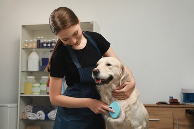 Photo of Professional groomer brushing fur of cute dog in pet beauty salon