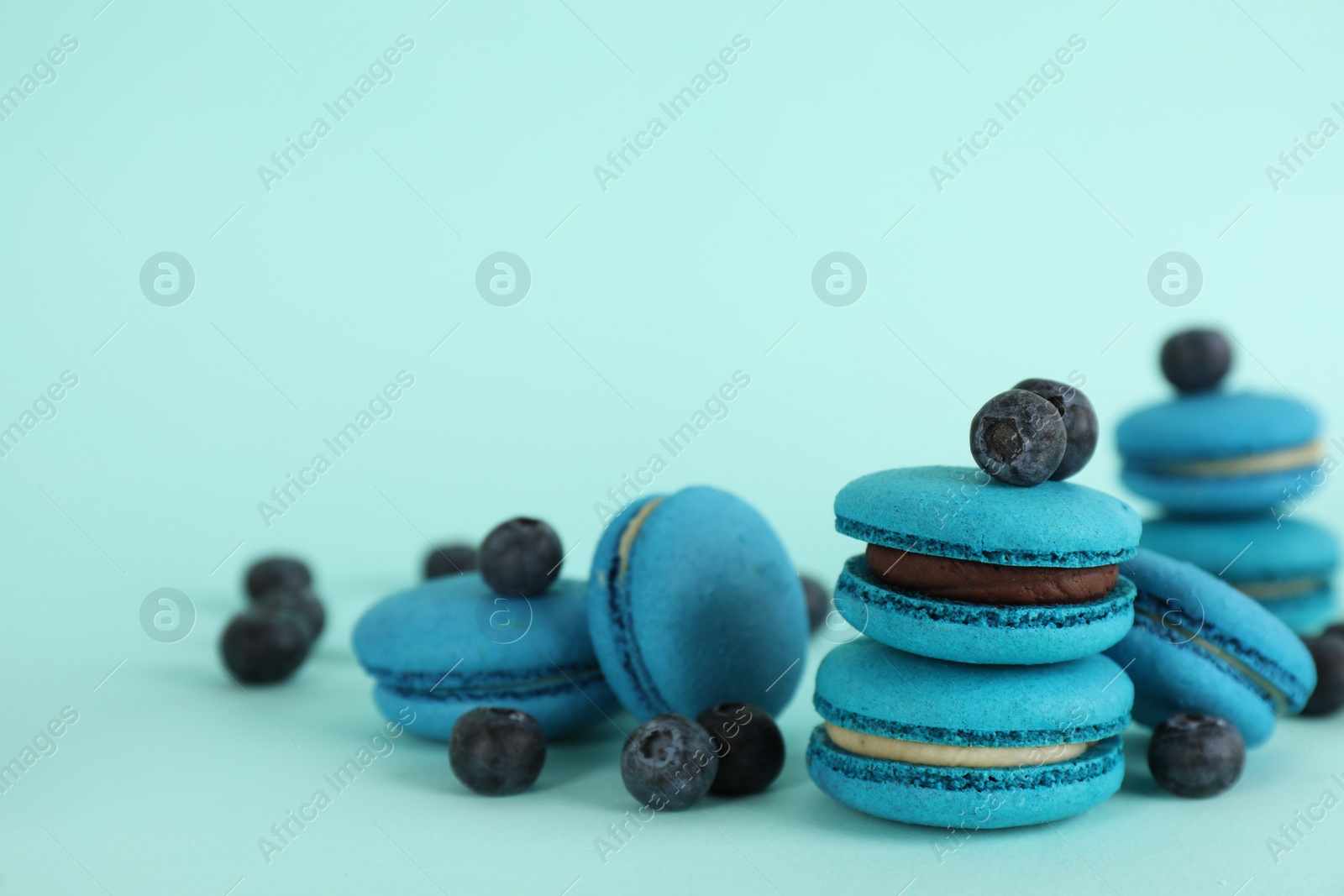 Photo of Delicious macarons and blueberries on light blue background, space for text