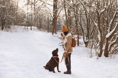 Woman with adorable Labrador Retriever dog in snowy park, space for text