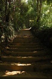 Photo of Beautiful view of stairs in park among trees
