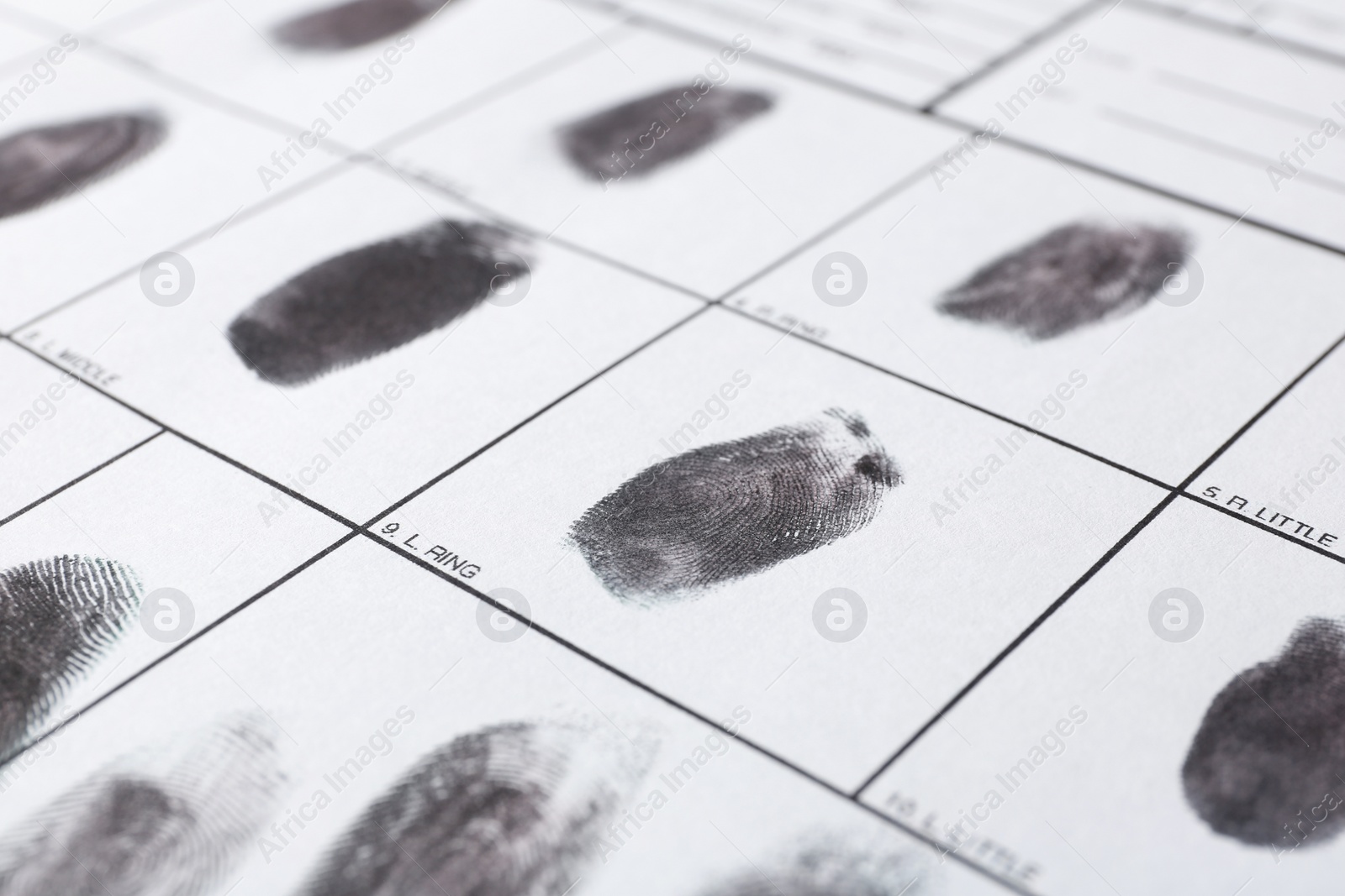 Photo of Police form with fingerprints, closeup. Forensic examination