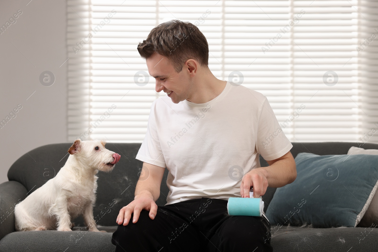 Photo of Pet shedding. Smiling man with lint roller removing dog's hair from pants at home