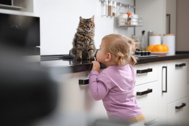 Photo of Cute little child with adorable pet on countertop in kitchen