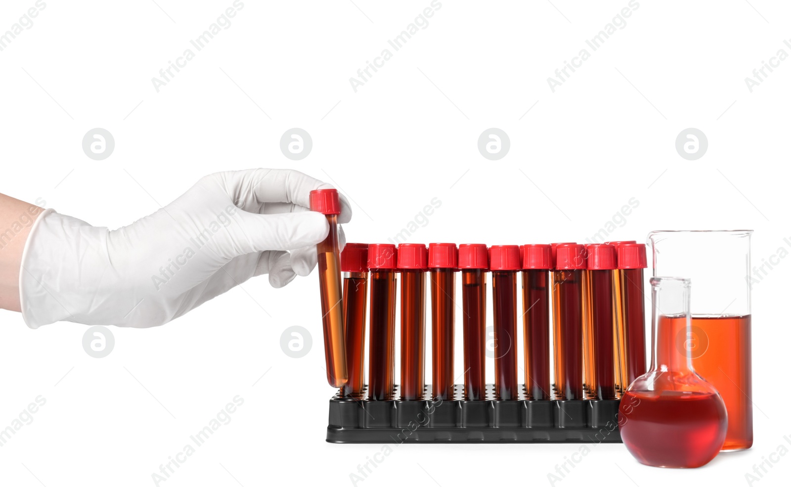 Photo of Scientist putting test tube with brown liquid into stand on white background, closeup