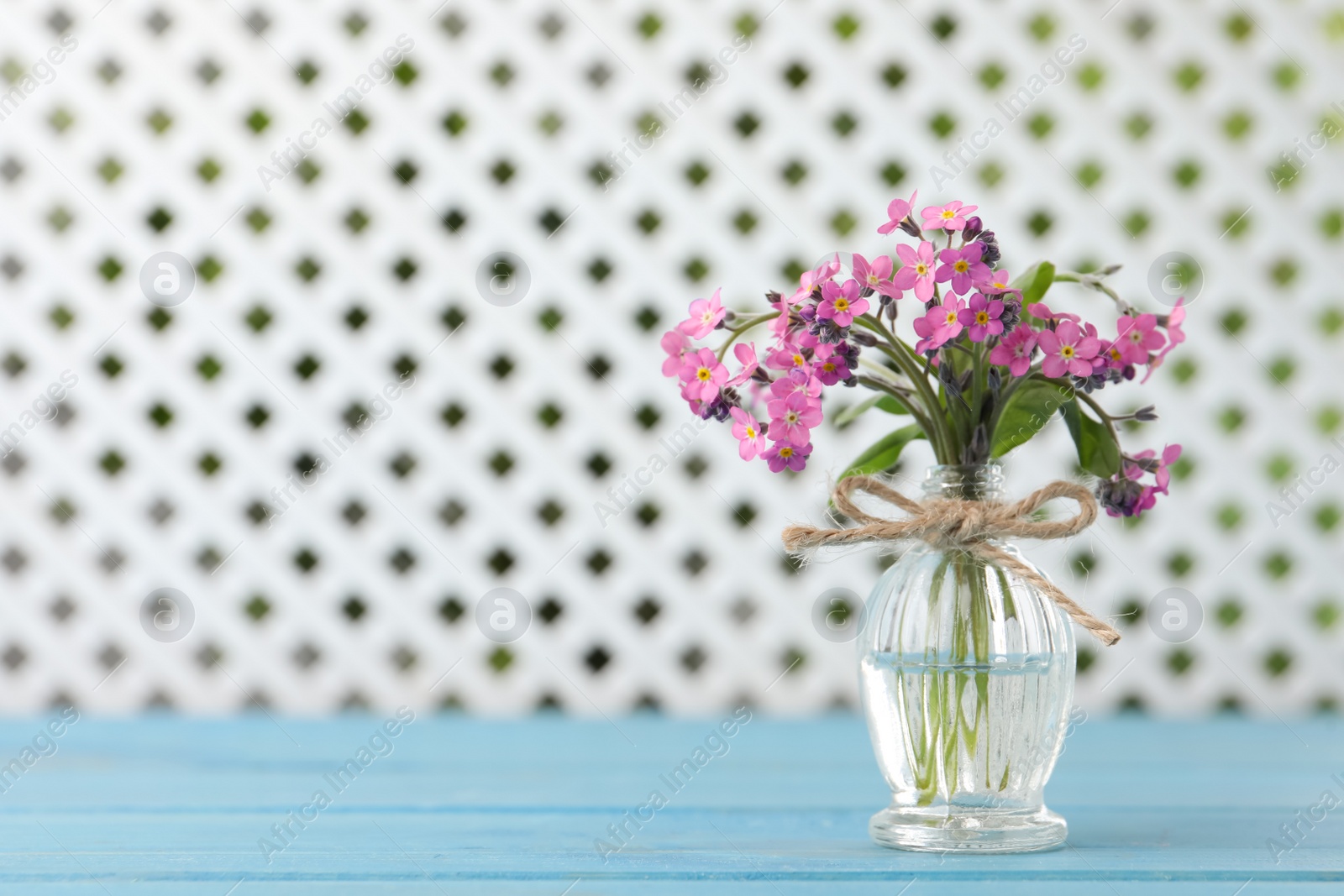 Photo of Beautiful pink forget-me-not flowers in glass bottle on light blue wooden table. Space for text