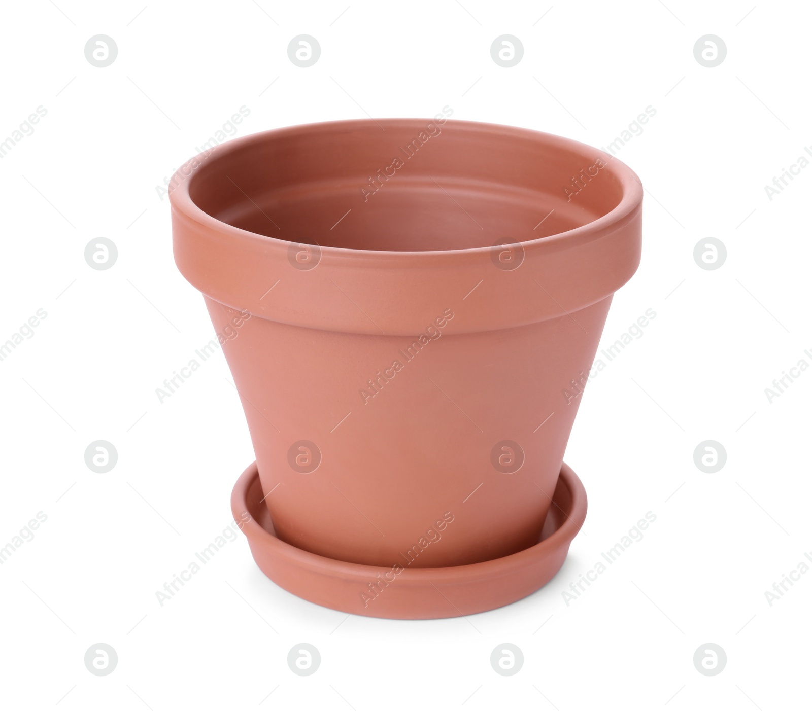 Photo of Stylish terracotta flower pot with saucer isolated on white