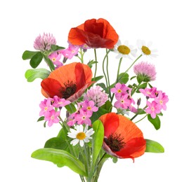 Bouquet of beautiful meadow flowers isolated on white