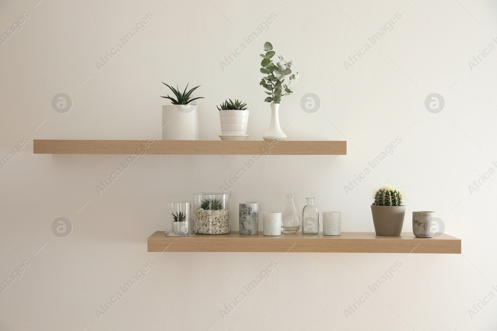 Photo of Wooden shelves with plants and decorative elements on light wall