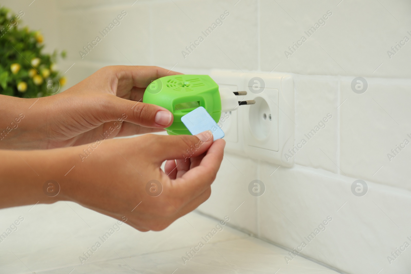 Photo of Woman putting insect repellent plate into electric mosquito device at home, closeup