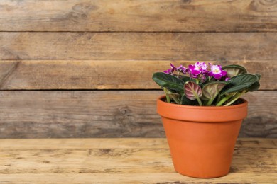 Photo of Beautiful blooming violet flower in pot on wooden table, space for text