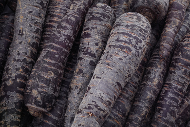 Photo of Many tasty black carrots as background, closeup