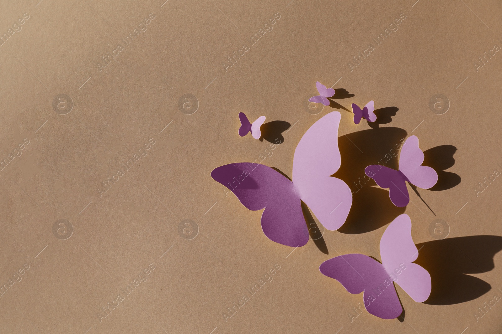 Image of Bright pink paper butterflies on dark beige background