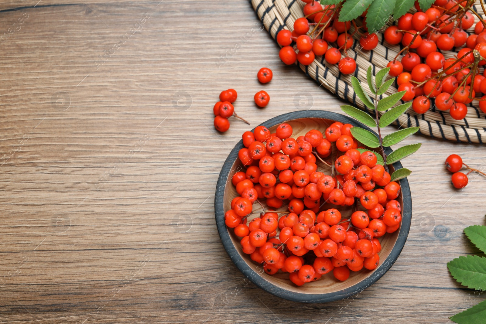 Photo of Fresh ripe rowan berries and leaves on wooden table, flat lay. Space for text