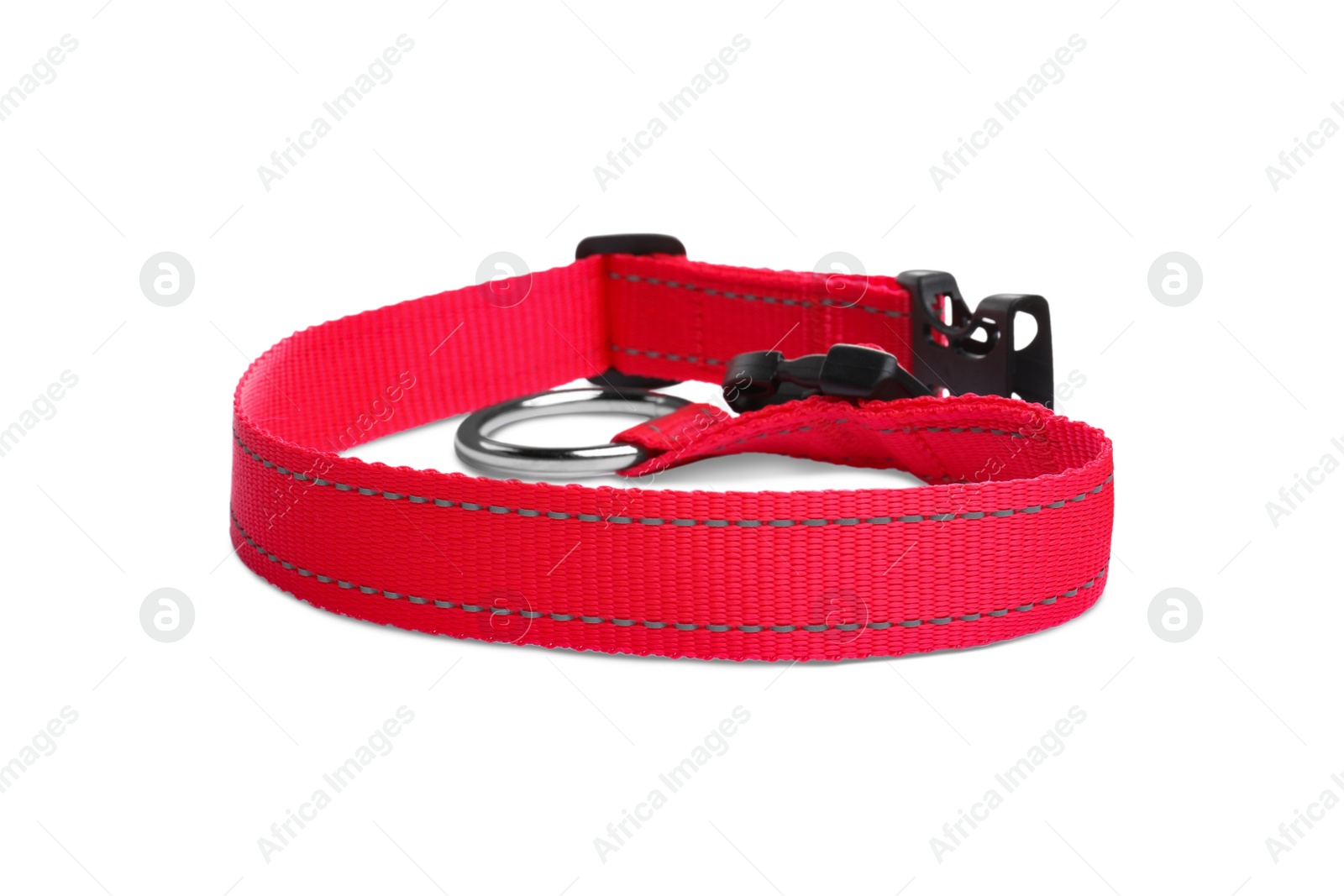 Photo of New textile dog collar isolated on white