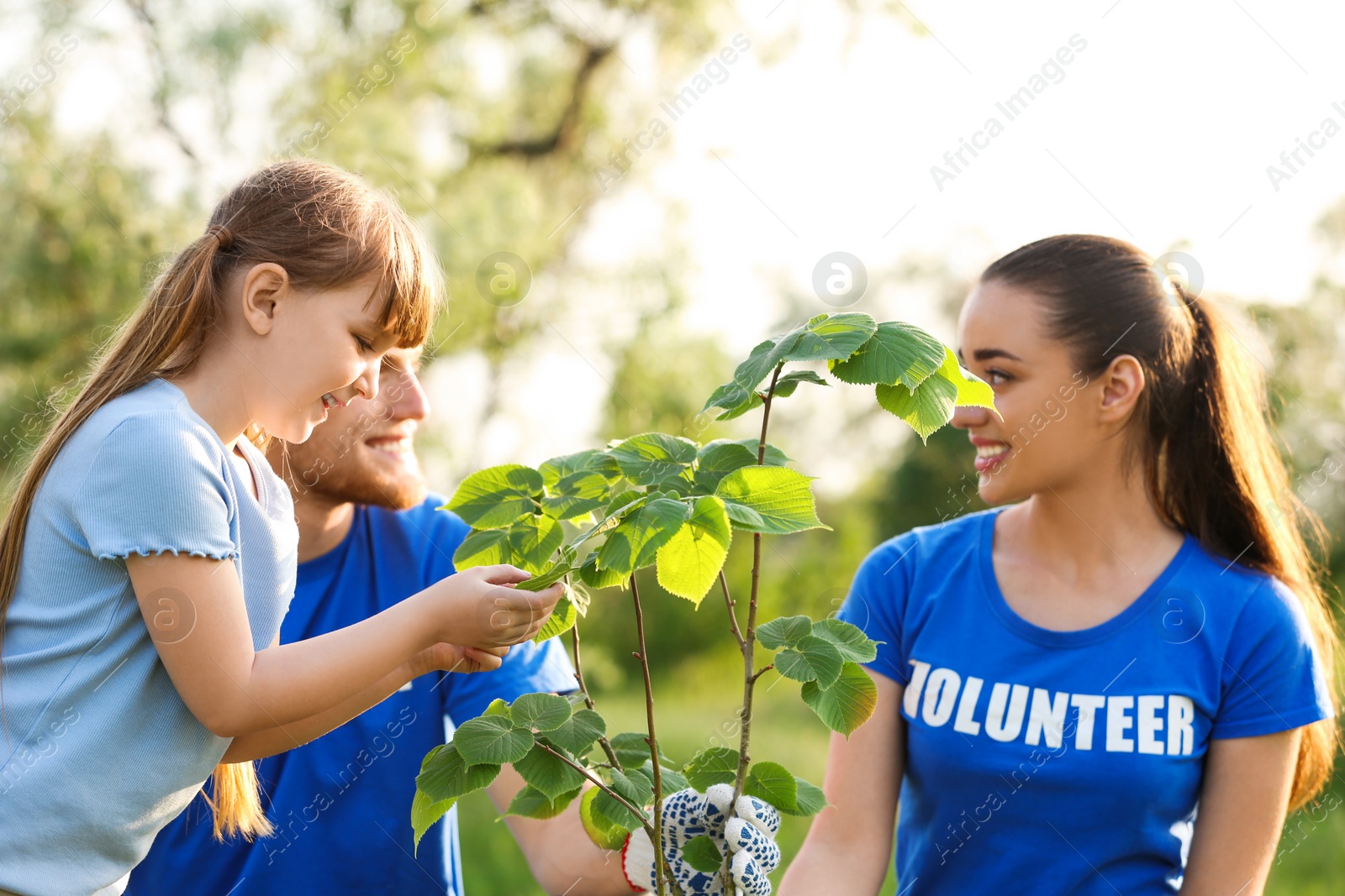 Photo of Little girl planting tree with volunteers in park