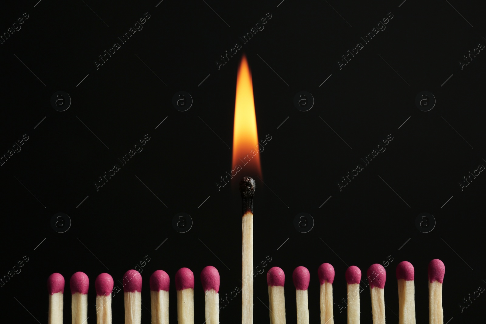 Photo of Burning match among others on black background. Difference and uniqueness concept