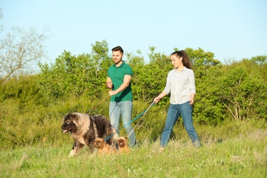 Photo of Young couple walking their dogs in park