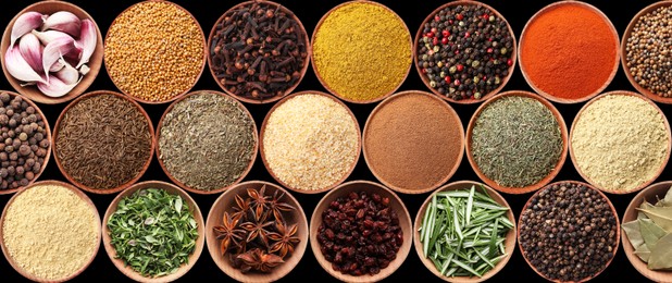 Image of Collection of different aromatic spices and herbs on black background, flat lay. Banner design