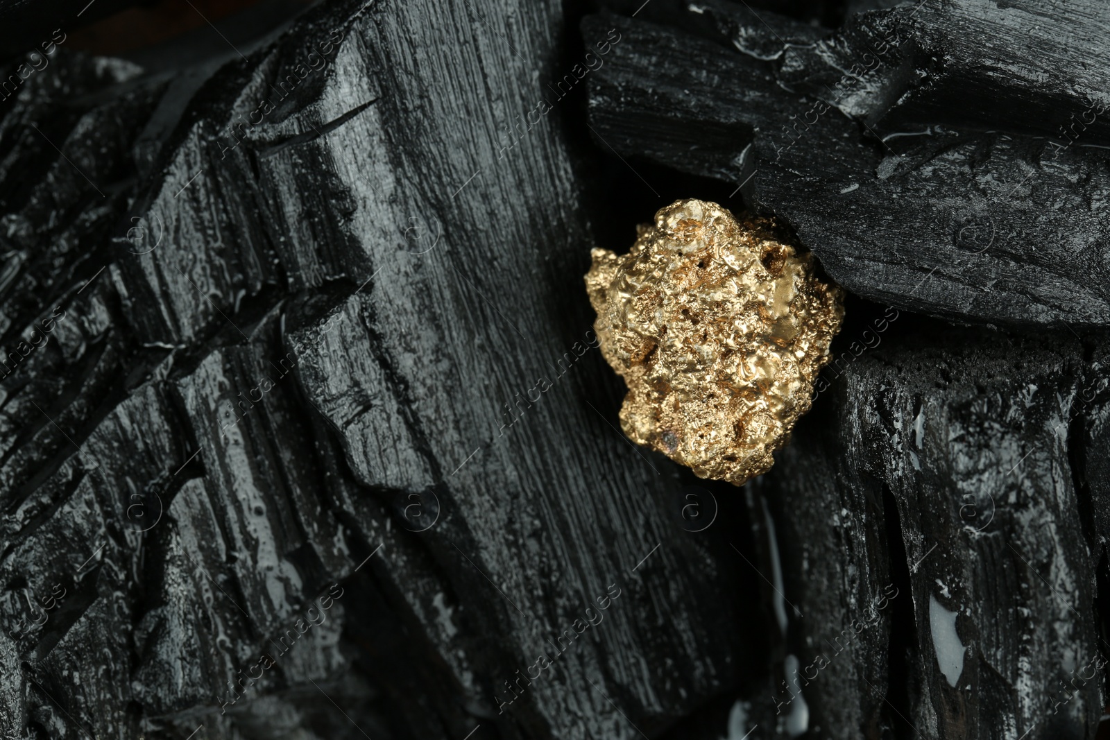 Photo of Shiny gold nugget on coal, closeup. Space for text
