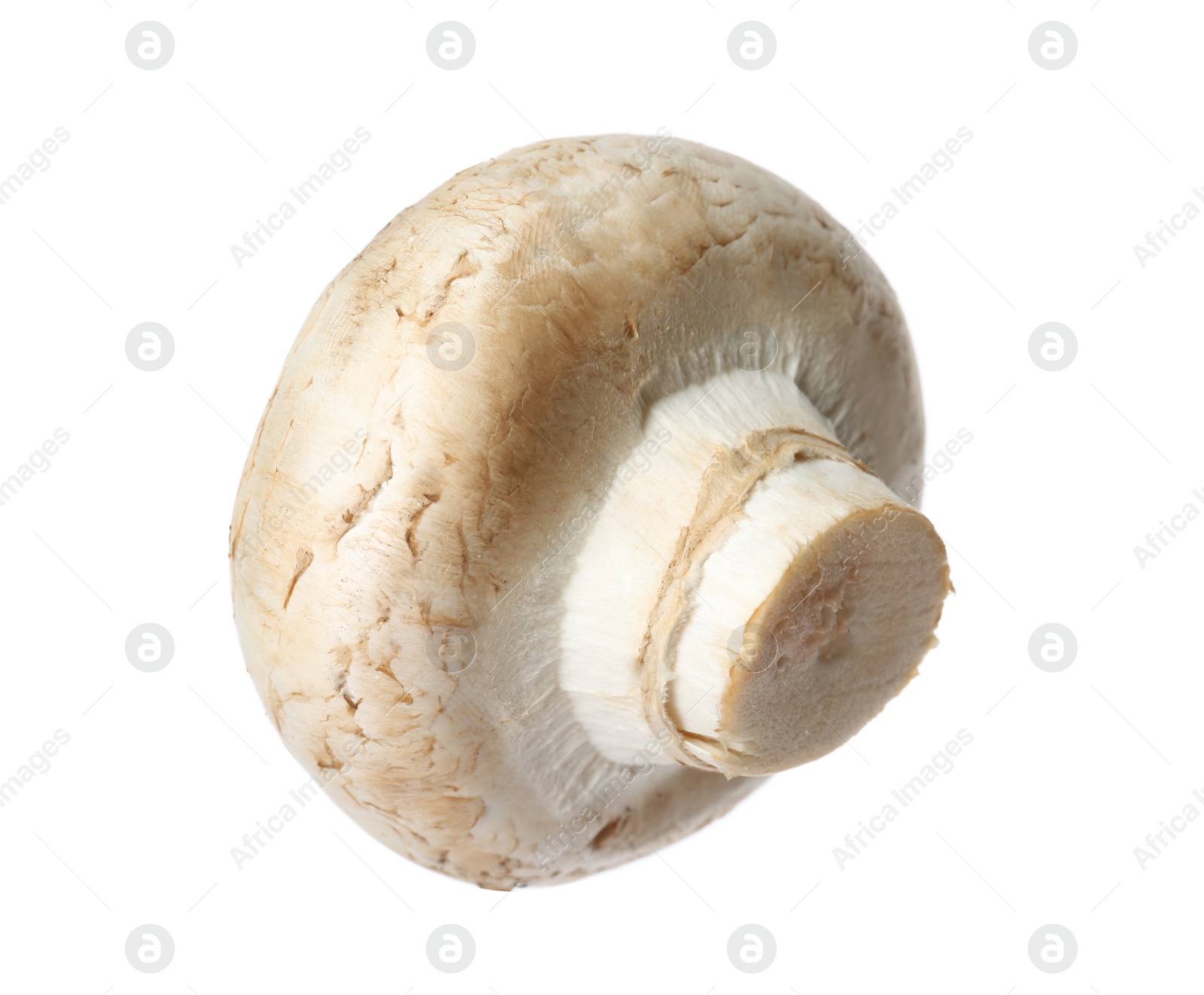 Photo of Fresh champignon mushroom isolated on white. Healthy food