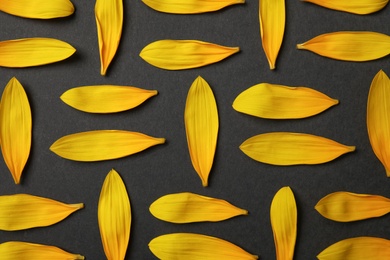 Photo of Fresh yellow sunflower petals on black background, flat lay