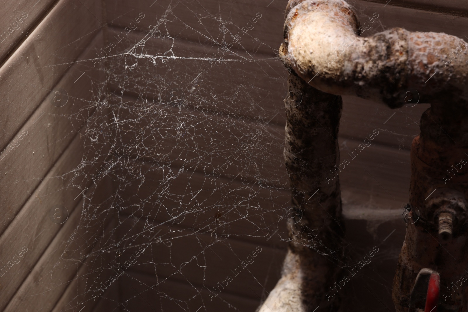 Photo of Cobweb near wall and rusty pipes of water supply indoors