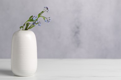 Beautiful forget-me-not flowers in vase on white marble table, closeup. Space for text