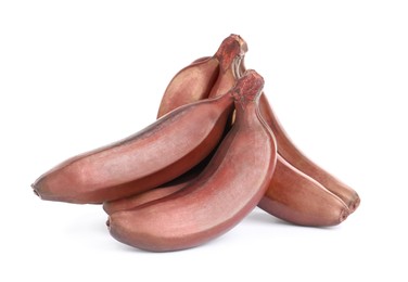 Photo of Delicious red baby bananas on white background