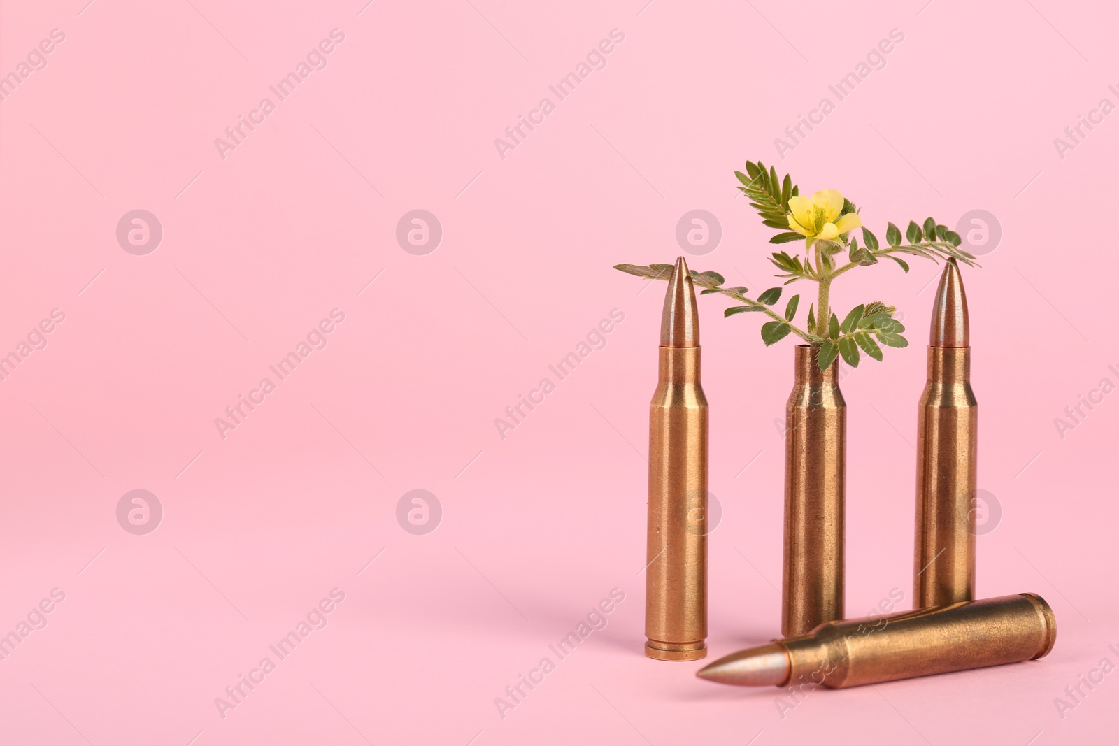 Photo of Bullets and beautiful flower on pink background, space for text