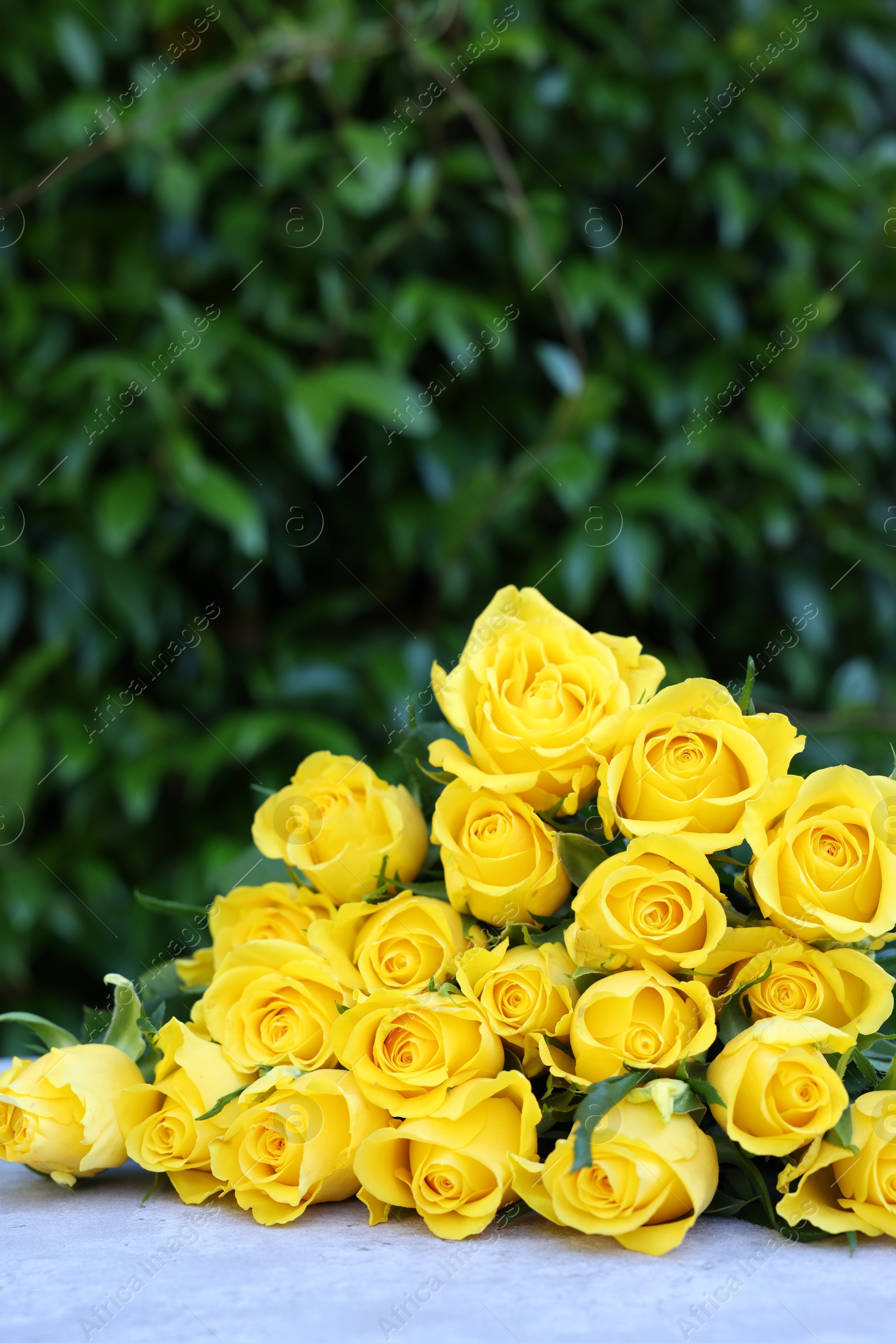 Photo of Beautiful bouquet of yellow roses on light table outdoors, space for text