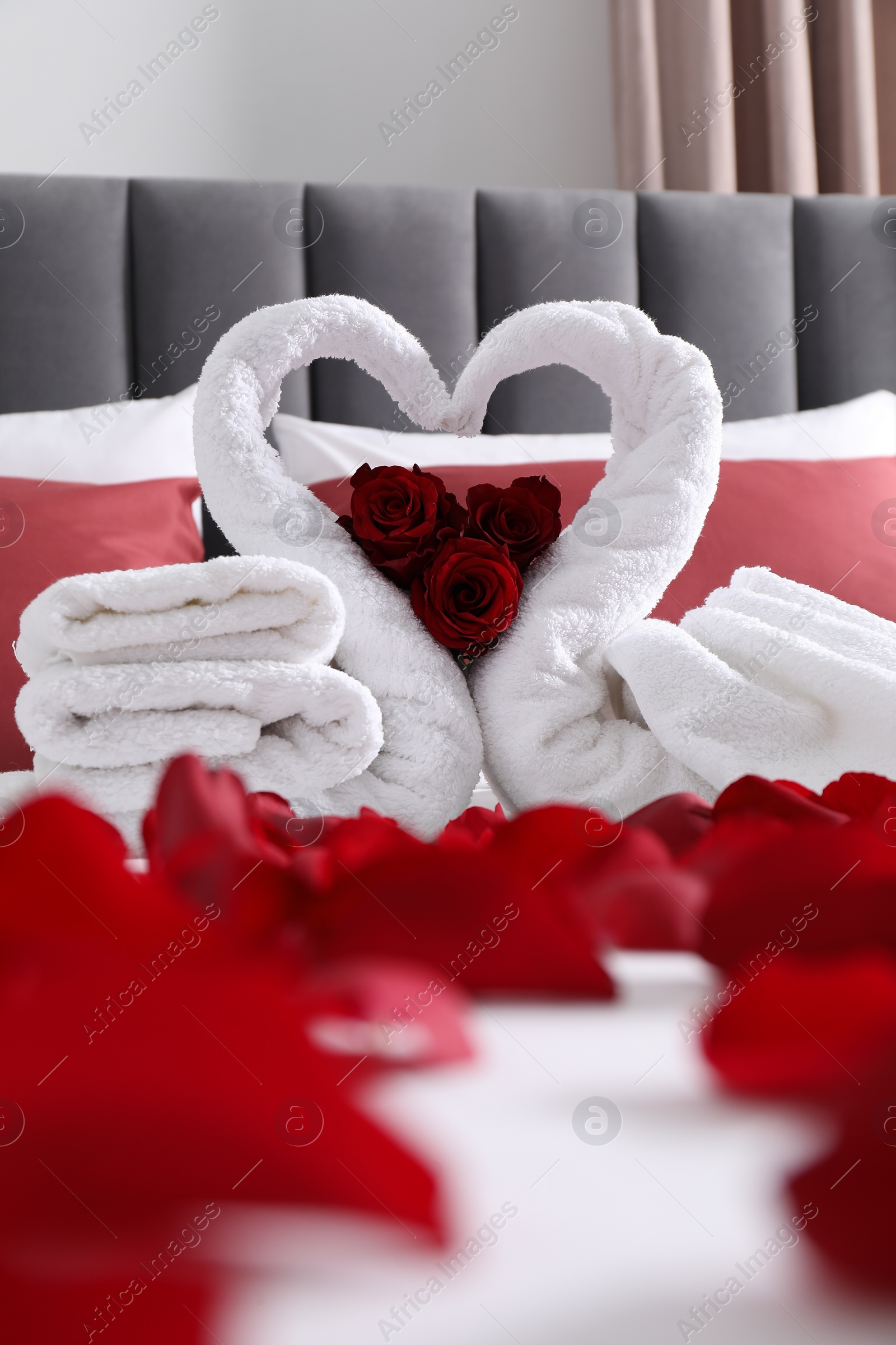 Photo of Honeymoon. Swans made with towels and beautiful rose petals on bed in room