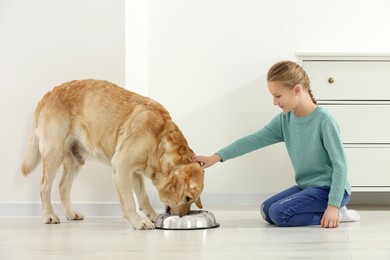 Cute child feeding her Labrador Retriever at home. Adorable pet