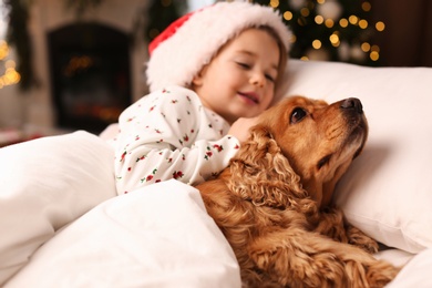 Photo of Cute little girl in Santa hat lying in bed near her English Cocker Spaniel. Christmas celebration