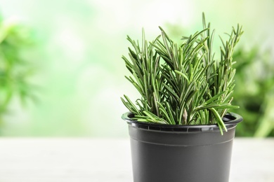 Photo of Pot with aromatic rosemary against blurred green background, space for text