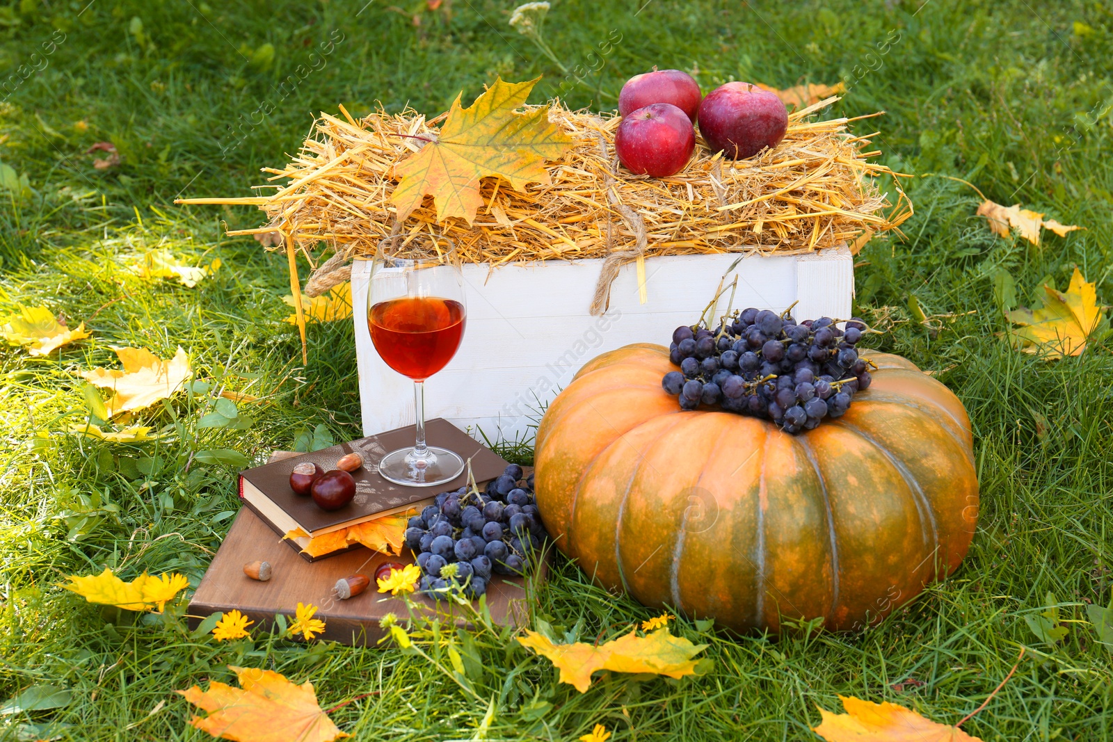 Photo of Glass of wine, book, pumpkin and grapes on green grass outdoors. Autumn picnic