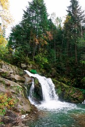 Picturesque view of beautiful stream flowing in forest