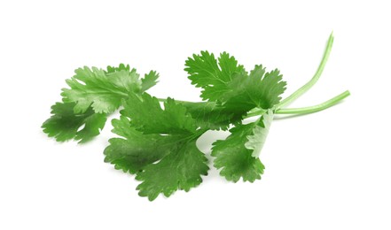 Photo of Fresh green coriander leaves on white background