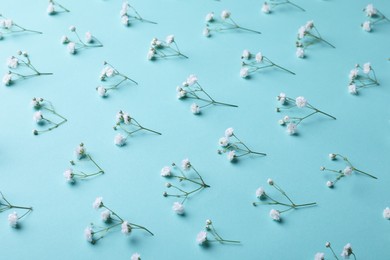 Beautiful white gypsophila flowers on light blue background