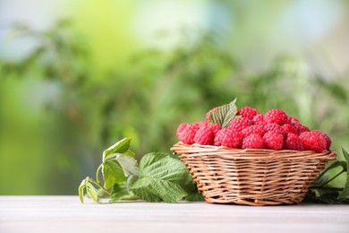 Photo of Wicker basket with tasty ripe raspberries and leaves on white wooden table against blurred green background, space for text