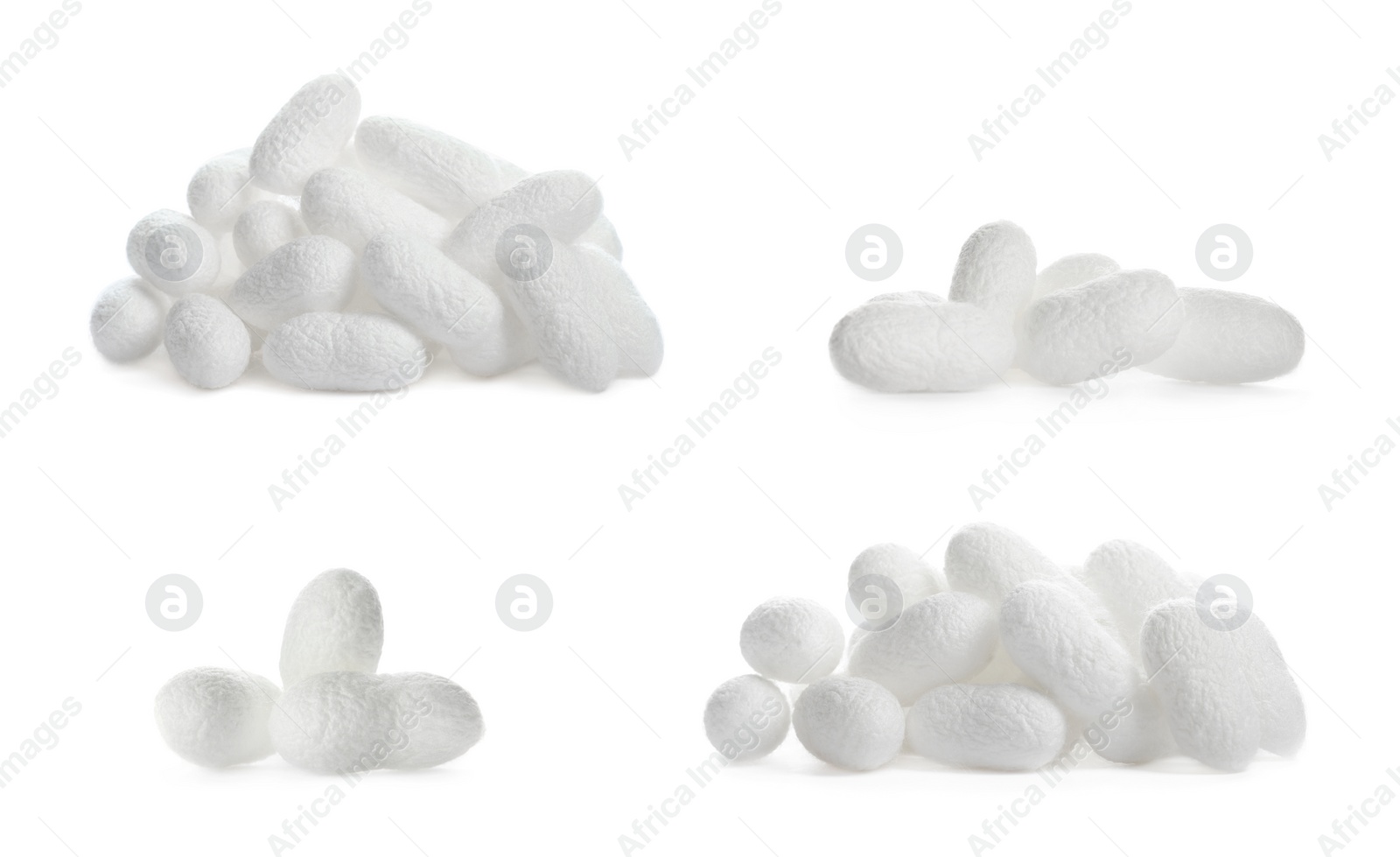 Image of Set with natural silkworm cocoons on white background