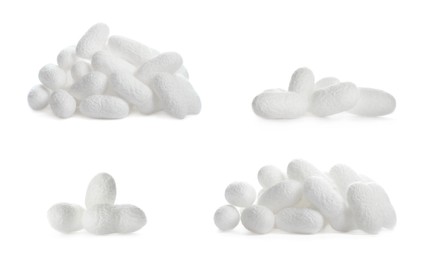 Set with natural silkworm cocoons on white background