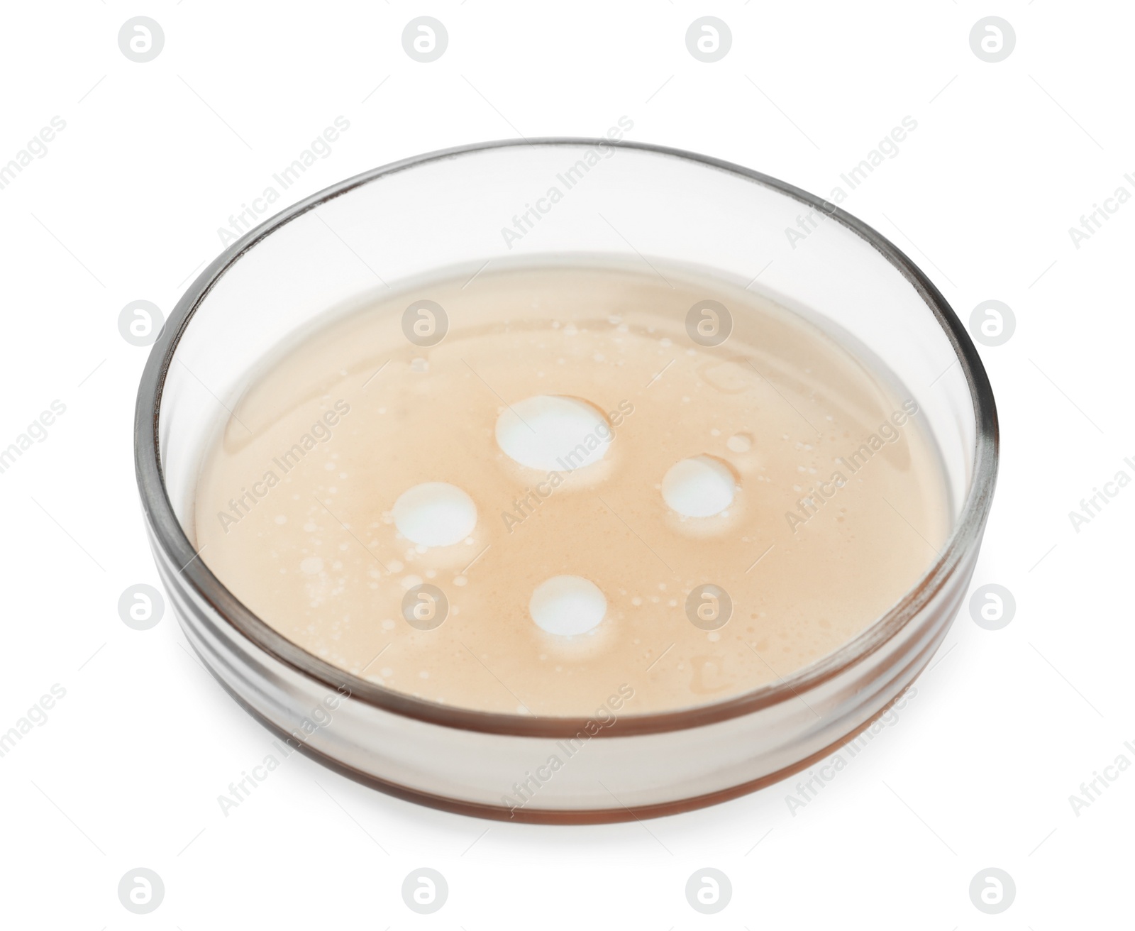 Photo of Petri dish with beige liquid isolated on white